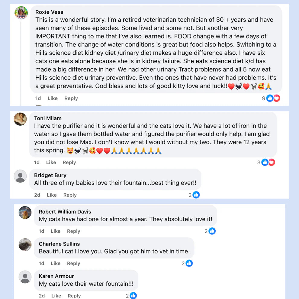 Omnipet Stainless Steel Water Fountain